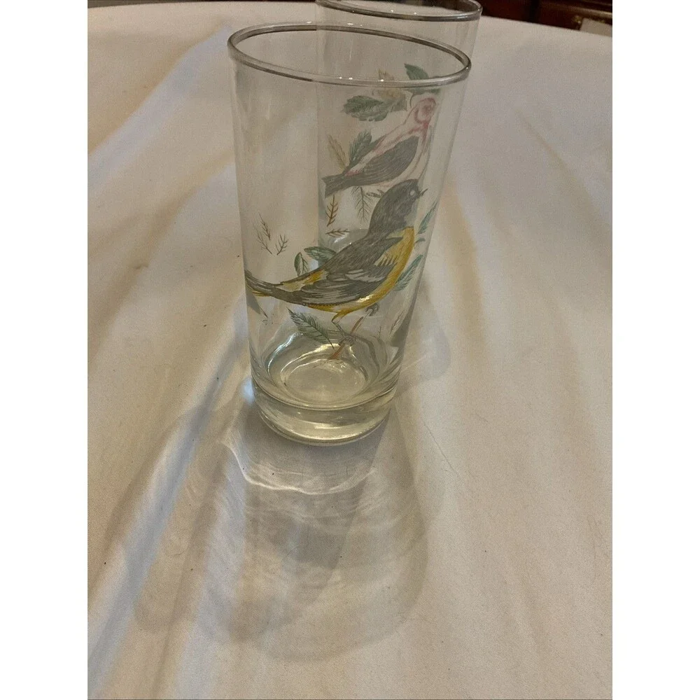 Vintage West Virginia Glass Co. Song Birds Drinking Glasses, Set Of 2